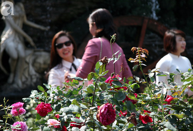 Lễ hội hoa hồng Bulgaria 2018: Xuất hiện nhiều hoa héo úa dù lễ hội mới diễn ra 2 ngày - Ảnh 6.