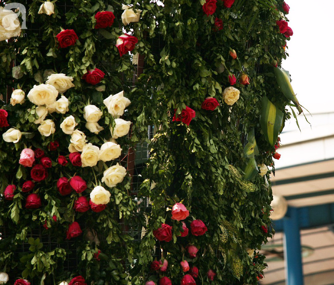 Lễ hội hoa hồng Bulgaria 2018: Xuất hiện nhiều hoa héo úa dù lễ hội mới diễn ra 2 ngày - Ảnh 20.