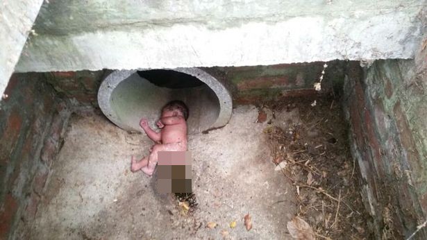 Hình ảnh gây sốc về bé sơ sinh bị bỏ rơi giữa đàn kiến lửa, dưới ống thoát nước - Ảnh 1.