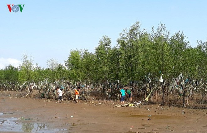 Ảnh: Kinh hoàng rừng cây treo đầy rác ở Thanh Hóa - Ảnh 4.