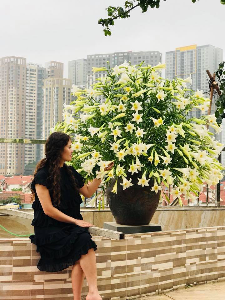 Hãy cùng nhìn vào hình ảnh đầy màu sắc và thanh thoát của Hoa loa kèn, loài hoa mang đậm nét văn hóa dân tộc Việt Nam. Sắc đỏ của loa kèn là biểu tượng của sự may mắn và thịnh vượng, là điều mà ai cũng mong muốn trong cuộc sống.
