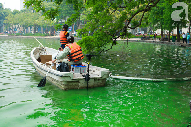 Sáng 17/4 nước Hồ Gươm bỗng xanh bất thường, phát hiện có tảo độc - Ảnh 6.