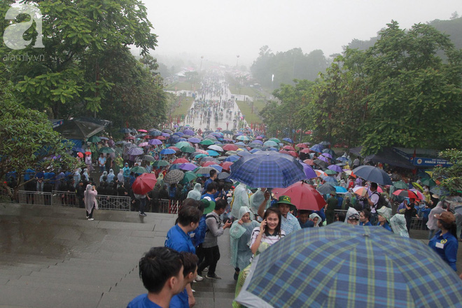 Chùm ảnh: Hàng nghìn người đội mưa vào dâng hương tại Đền Hùng - Ảnh 16.