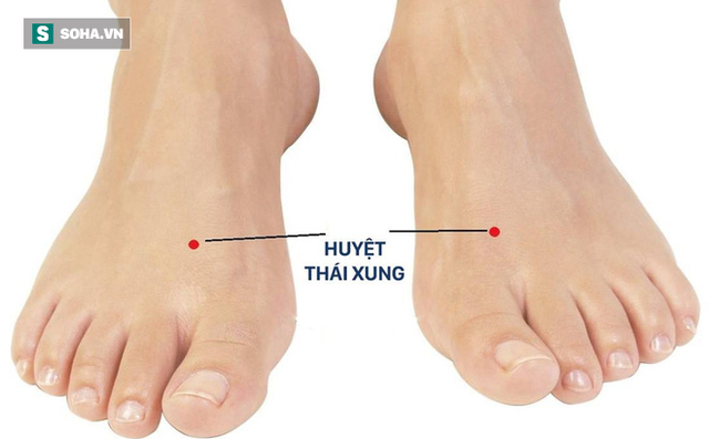  Đông y có 4 nguyên tắc và 2 mẹo nhỏ để dưỡng gan: Thử ngay để gan khoẻ, không bệnh tật  - Ảnh 5.