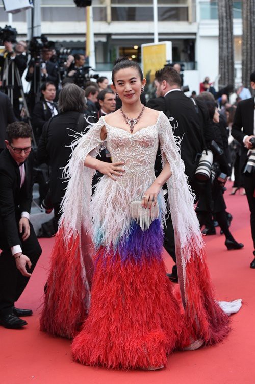 Những lần náo loạn thảm đỏ Cannes của sao Hoa ngữ: Từ mỹ nhân hạng A đến người đẹp vô danh chiêu trò đủ kiểu khiến truyền thông ngao ngán - Ảnh 13. Những lần náo loạn thảm đỏ Cannes của sao Hoa ngữ: Từ mỹ nhân hạng A đến người đẹp vô danh chiêu trò đủ kiểu khiến truyền thông ngao ngán - Ảnh 13.