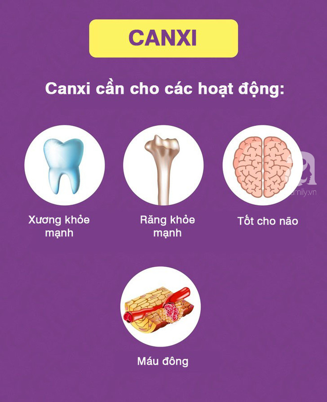 5 dưỡng chất thiết yếu hầu hết ai cũng bị thiếu và cách bổ sung chúng cho cơ thể - Ảnh 6.