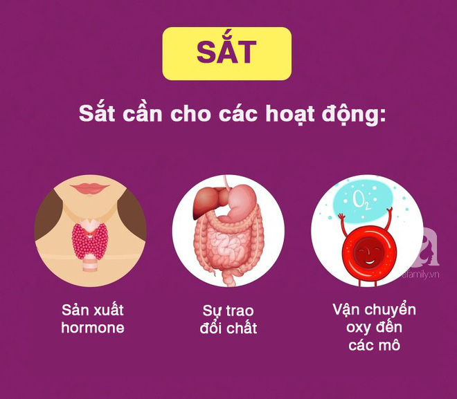 5 dưỡng chất thiết yếu hầu hết ai cũng bị thiếu và cách bổ sung chúng cho cơ thể - Ảnh 10.