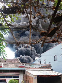 Cháy xưởng đệm mút ở Bình Định, hơn 400 người dập lửa - Ảnh 2.
