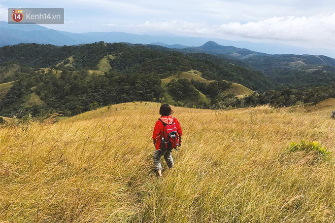 Những tai nạn đáng tiếc ở Tà Năng - Phan Dũng: Cung đường trekking đẹp nhất Việt Nam nhưng cũng đầy hiểm nguy khó lường - Ảnh 9.