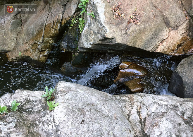 Những tai nạn đáng tiếc ở Tà Năng - Phan Dũng: Cung đường trekking đẹp nhất Việt Nam nhưng cũng đầy hiểm nguy khó lường - Ảnh 5.