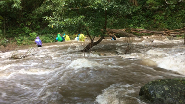 Những tai nạn đáng tiếc ở Tà Năng - Phan Dũng: Cung đường trekking đẹp nhất Việt Nam nhưng cũng đầy hiểm nguy khó lường - Ảnh 7.