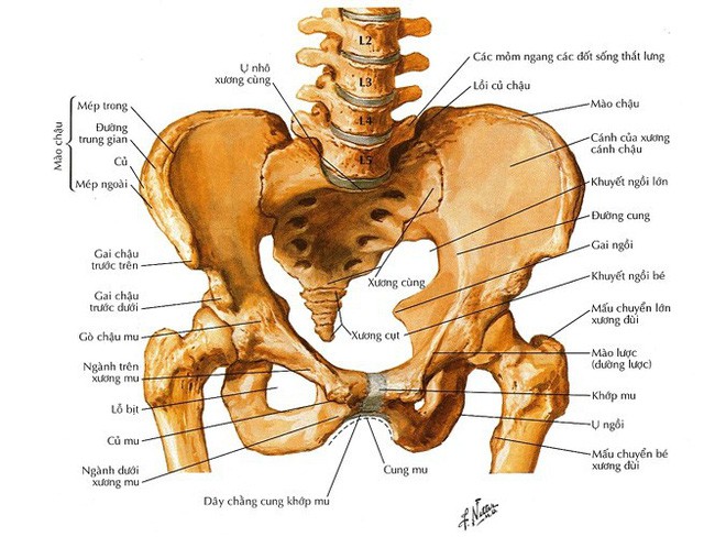  Các xét nghiệm y tế ai cũng cần làm để phòng ngừa các bệnh nghiêm trọng - Ảnh 3.