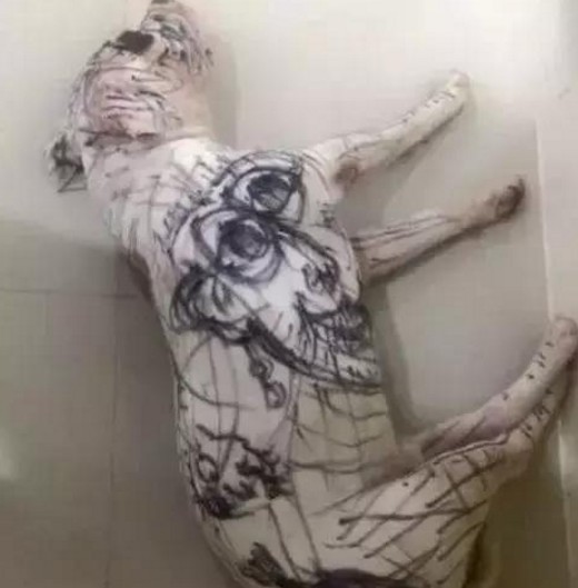 Cô giáo ra bài tập Hãy vẽ con vật mà em yêu thích nhất và đây là kết quả - Ảnh 1.