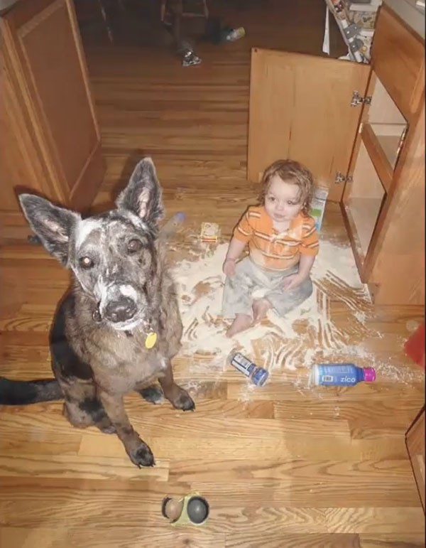 Cô giáo ra bài tập Hãy vẽ con vật mà em yêu thích nhất và đây là kết quả - Ảnh 12.