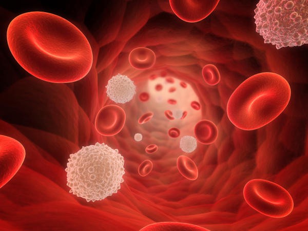 8 nguyên nhân khiến nồng độ huyết sắc tố trong máu cao đột biến, dẫn đến nhiều vấn đề sức khỏe - Ảnh 1.