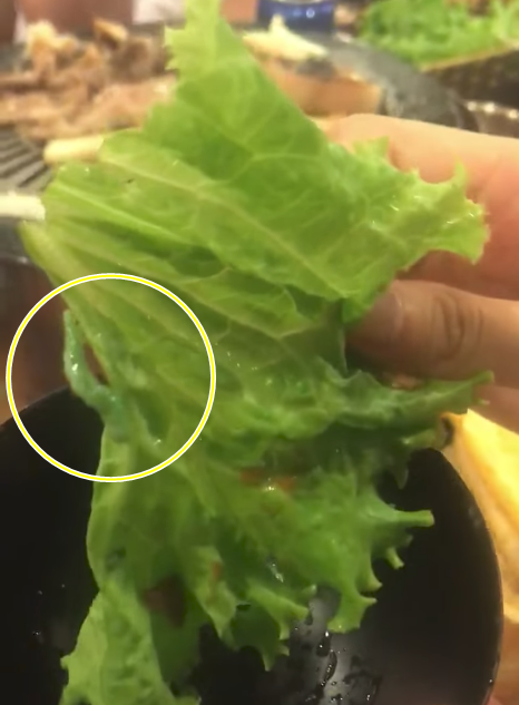 Đang tận hưởng bát bún cá ngon lành, thực khách suýt nghẹn khi nuốt phải chiếc bóng cá kinh dị - Ảnh 4.