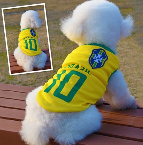 Sốt xình xịch trào lưu mặc trang phục World Cup cho cún cưng - Ảnh 10.