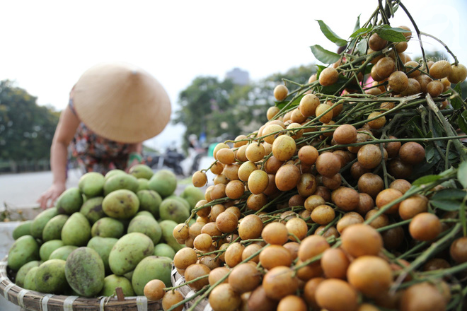 Hà Nội: Tết đoan ngọ, người dân nhộn nhịp mua rượu nếp, nếp cẩm từ sáng sớm - Ảnh 10.