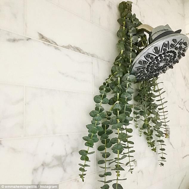 The whole family wonders when they see mom hanging this branch on the showerhead, until they take a shower everyone likes it and understands the reason - Image 1.