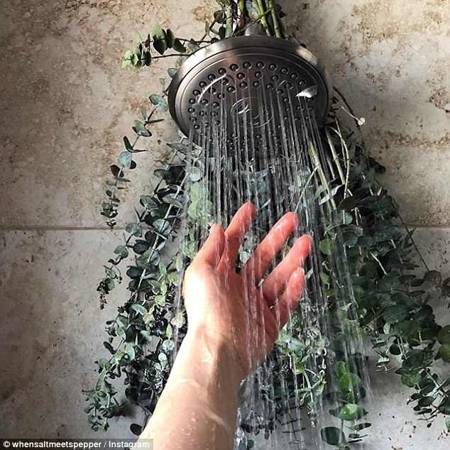 The whole family wonders when they see mom hanging this branch on the showerhead, until they take a shower everyone likes it and understands the reason - Image 2.