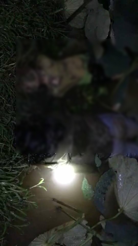 Xác minh sự thật đoạn clip livestream an mạng kinh hoàng, 1 gia đình 3 người bị giết tại Bắc Giang - Ảnh 2.