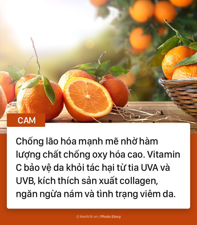 Khám phá những thực phẩm giúp bạn trẻ mãi không già - Ảnh 8.