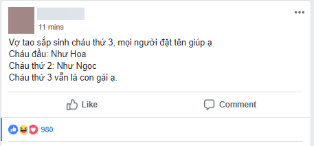 2 con gái đầu tên Như Hoa, Như Ngọc, đến cô công chúa thứ 3, ông bố trẻ quyết lên mạng nhờ đặt tên có đệm Như và cái kết khiến ai cũng cười bò - Ảnh 1.