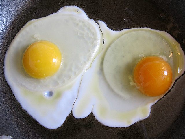 Quả trứng có lòng đỏ sẫm màu khác biệt gì với quả lòng đỏ nhạt? - Ảnh 1.