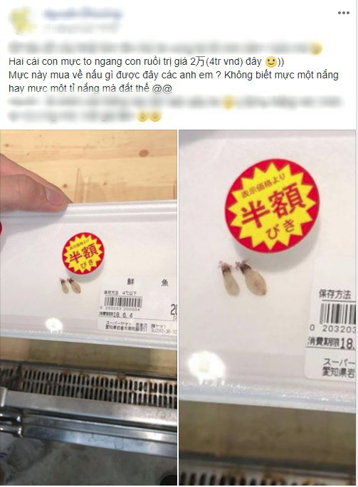 Hai chú mực một nắng to bằng con chấy có giá đến 4 triệu đồng trong siêu thị Nhật khiến dân mạng Việt xôn xao - Ảnh 1.