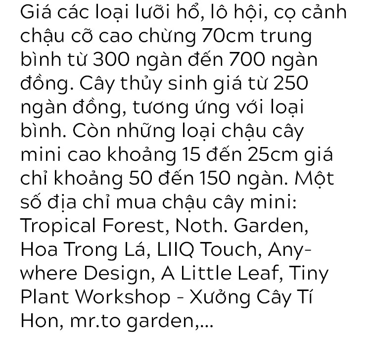 Cây xanh - cách làm mới không gian sống nhanh, rẻ, dễ ứng dụng để đón hè vào nhà - Ảnh 11.