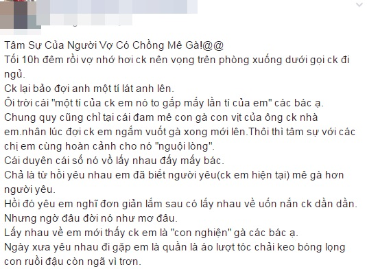 Vợ nổi điên viết đơn ly dị vì lão chồng ham mê gà chọi không màng gì vợ con - Ảnh 5.