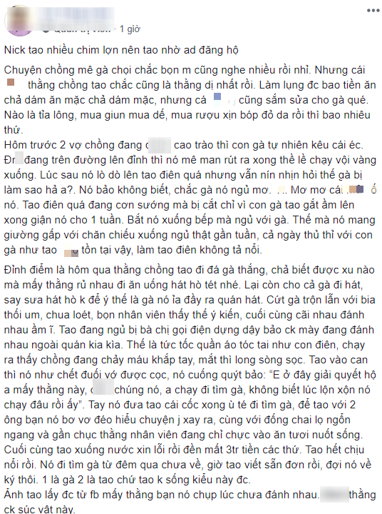 Vợ nổi điên viết đơn ly dị vì lão chồng ham mê gà chọi không màng gì vợ con - Ảnh 2.