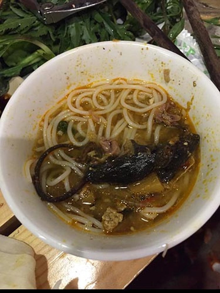 Có khi nào giữa mùa hè hầm hập, nhai miếng đậu cũng vấp phải chú gián khô như này thì chị em tính sao? - Ảnh 5. Có khi nào giữa mùa hè hầm hập, nhai miếng đậu cũng vấp phải chú gián khô như này thì chị em tính sao? - Ảnh 5.