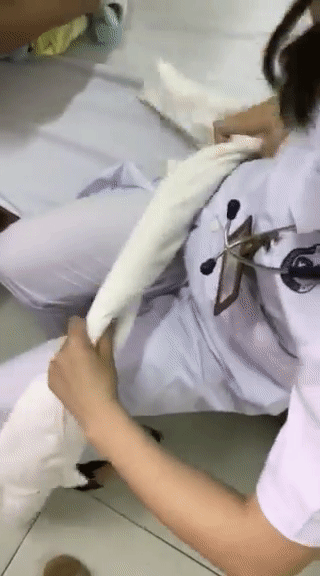 Nữ y tá bày cách dùng khăn để làm ổ cho em bé sơ sinh ngủ ... đạt 3 triệu lượt xem trong clip - Ảnh 5.