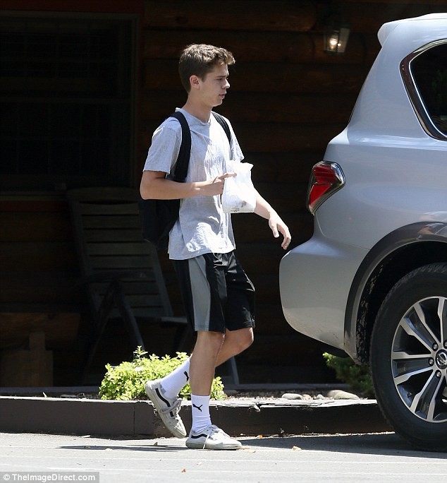 Sự thật về mối quan hệ của Selena Gomez với bạn trai tin đồn trông giống Brooklyn Beckham - Ảnh 3.