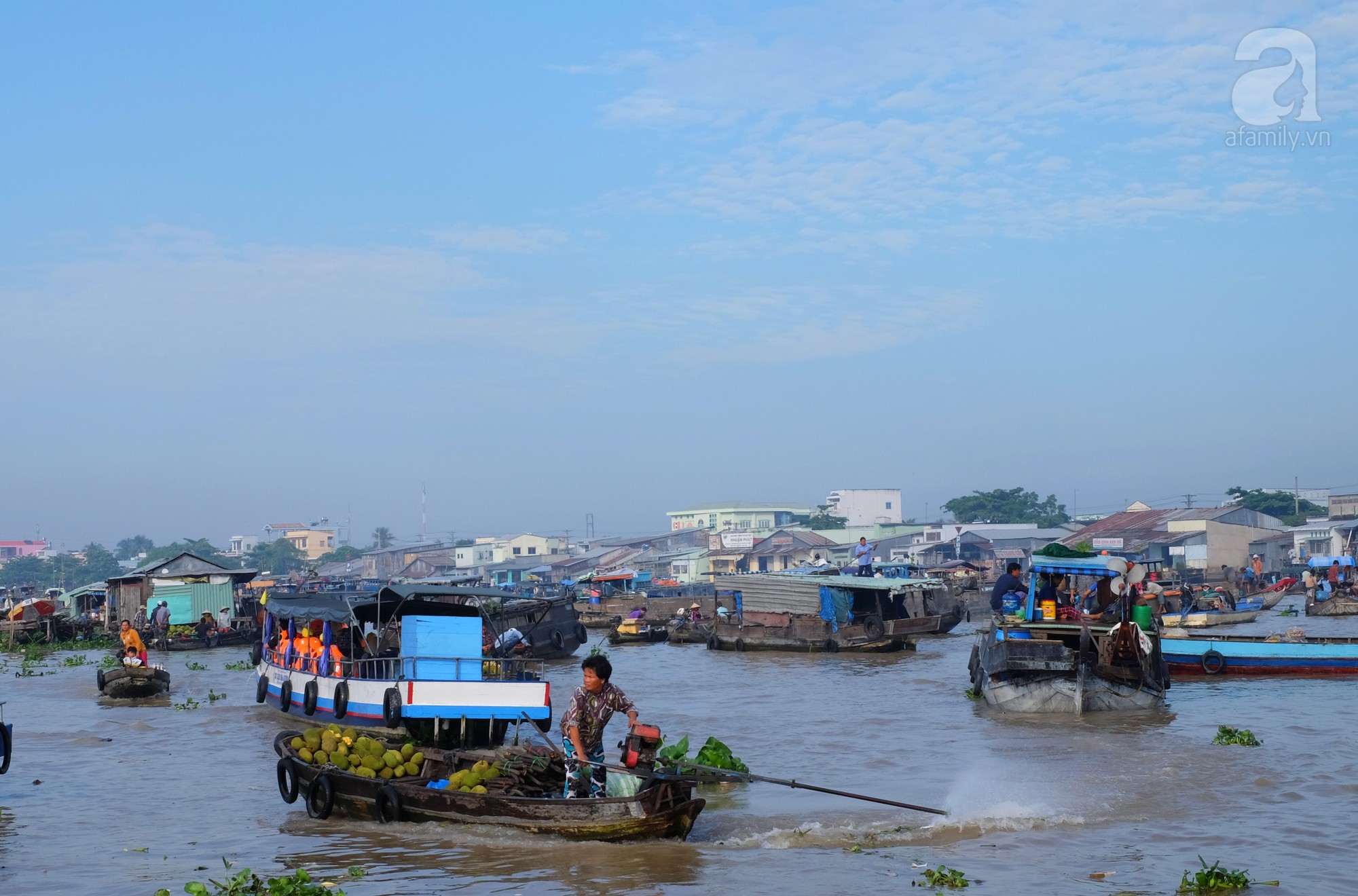 7 chốn du lịch đẹp như mơ ngay tại Việt Nam nên đi ngay khi mùa đông về - Ảnh 5.