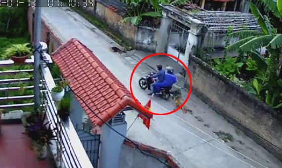 Clip: Khoảnh khắc 2 thanh niên đi xe máy quăng thòng lọng trộm chó trong tích tắc khiến người xem sửng sốt - Ảnh 2.