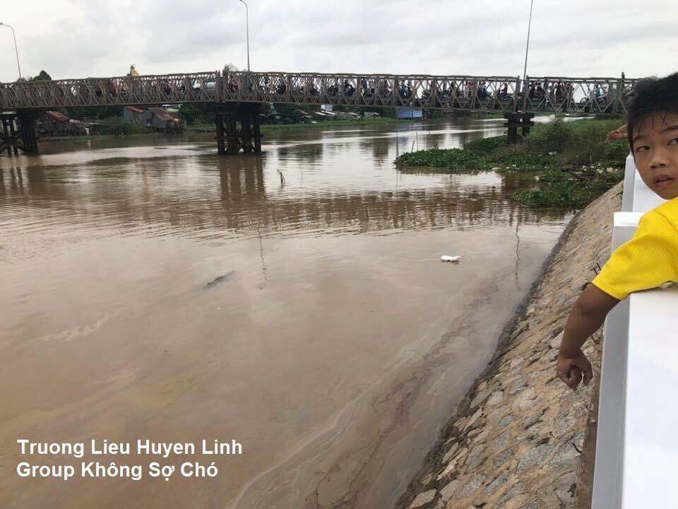 Sông quê yên bình bỗng xuất hiện cá sấu, ai nấy đều hoảng hốt nhưng chân tướng thật sự khiến người ta ngã ngửa - Ảnh 2.