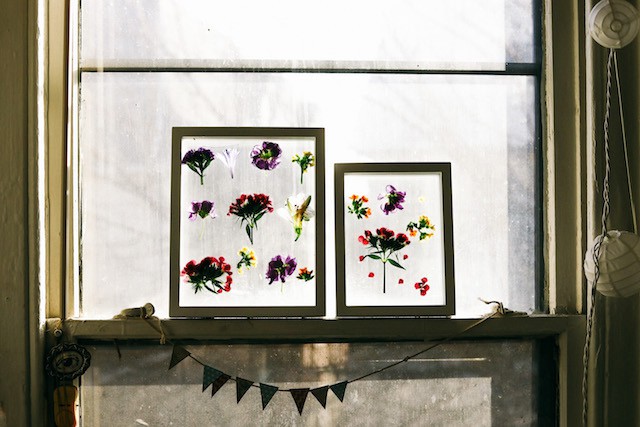 Lịm tim với những khung ảnh làm từ hoa tươi với cách thực hiện siêu đơn giản - Ảnh 11.