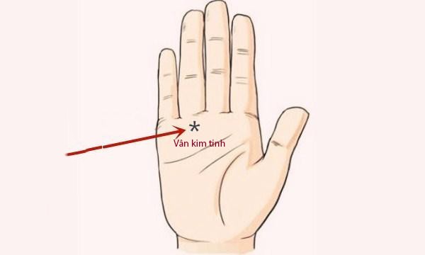 Chỉ cần lòng bàn tay có những đặc điểm này hậu vận của bạn nếu không giàu sang phú quý thì cũng an nhàn hưởng phước cả đời - Ảnh 1. Chỉ cần lòng bàn tay có những đặc điểm này hậu vận của bạn nếu không giàu sang phú quý thì cũng an nhàn hưởng phước cả đời - Ảnh 1.