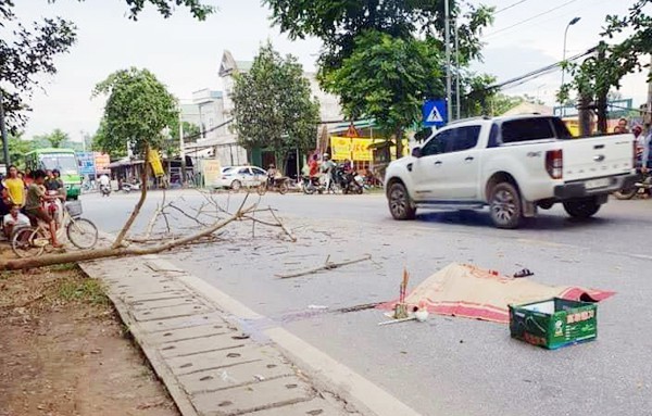 Tuyên Quang: Đôi vợ chồng sắp cưới bị cành cây khô rơi đè trúng khi đang đi xe máy, người chồng tử vong - Ảnh 1.