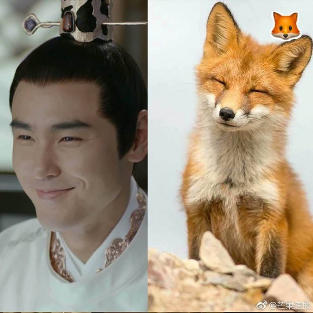 Đừng chỉ mãi để ý scandal và soi diễn xuất cửa Dương Mịch, Phù Dao còn có cực phẩm mang tên Nguyễn Kinh Thiên - Ảnh 8. Đừng chỉ mãi để ý scandal và soi diễn xuất cửa Dương Mịch, Phù Dao còn có cực phẩm mang tên Nguyễn Kinh Thiên - Ảnh 8.