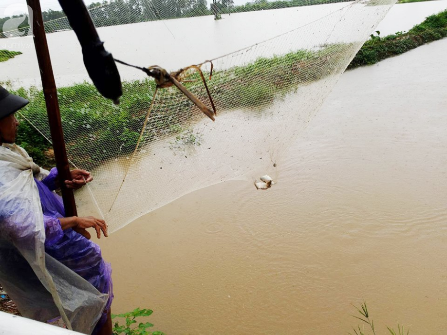 Hà Nội: Người dân hào hứng bắt cá sau đêm mưa cực lớn gây ngập nhiều nơi - Ảnh 3.