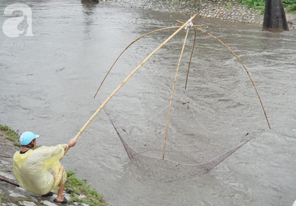 Hà Nội: Người dân hào hứng bắt cá sau đêm mưa cực lớn gây ngập nhiều nơi - Ảnh 8.