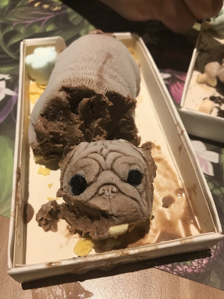 Quán cà phê Đài Loan gây sốt khi làm chiếc bánh kem hình chú chó con đẹp không nỡ ăn - Ảnh 2.