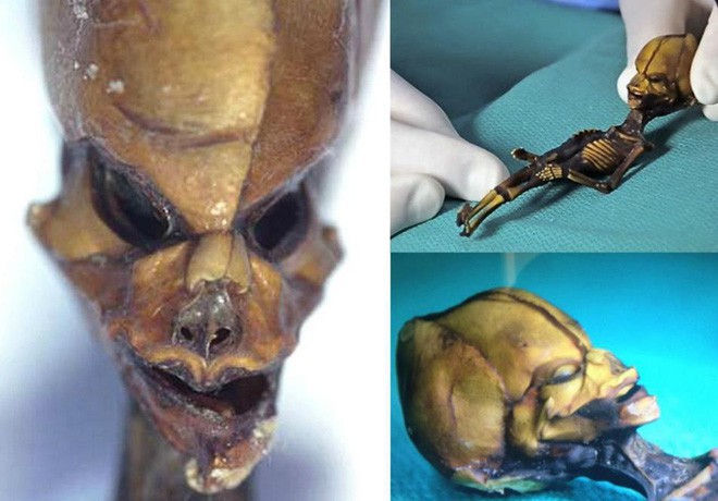 Tranh cãi về bộ hài cốt tí hon nghi là người ngoài hành tinh được phát hiện ở Chile - Ảnh 4.