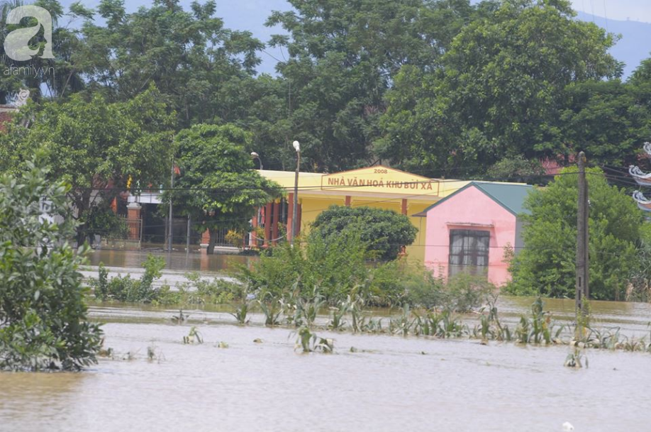 Vùng ngoại thành Hà Nội nhiều nơi bị chia cắt vì nước vẫn ngập trắng - Ảnh 3.