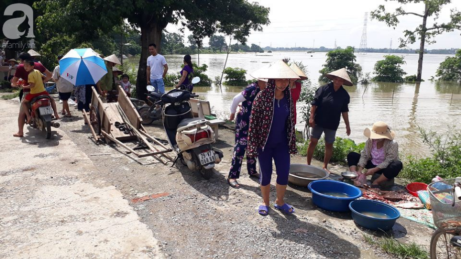 Vùng ngoại thành Hà Nội nhiều nơi bị chia cắt vì nước vẫn ngập trắng - Ảnh 13.