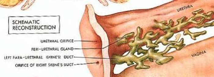 Chị em có nguy cơ tan vỡ hạnh phúc vì một điều tế nhị nhưng nhiều người lại cắn răng không dám nói với ai - Ảnh 2.