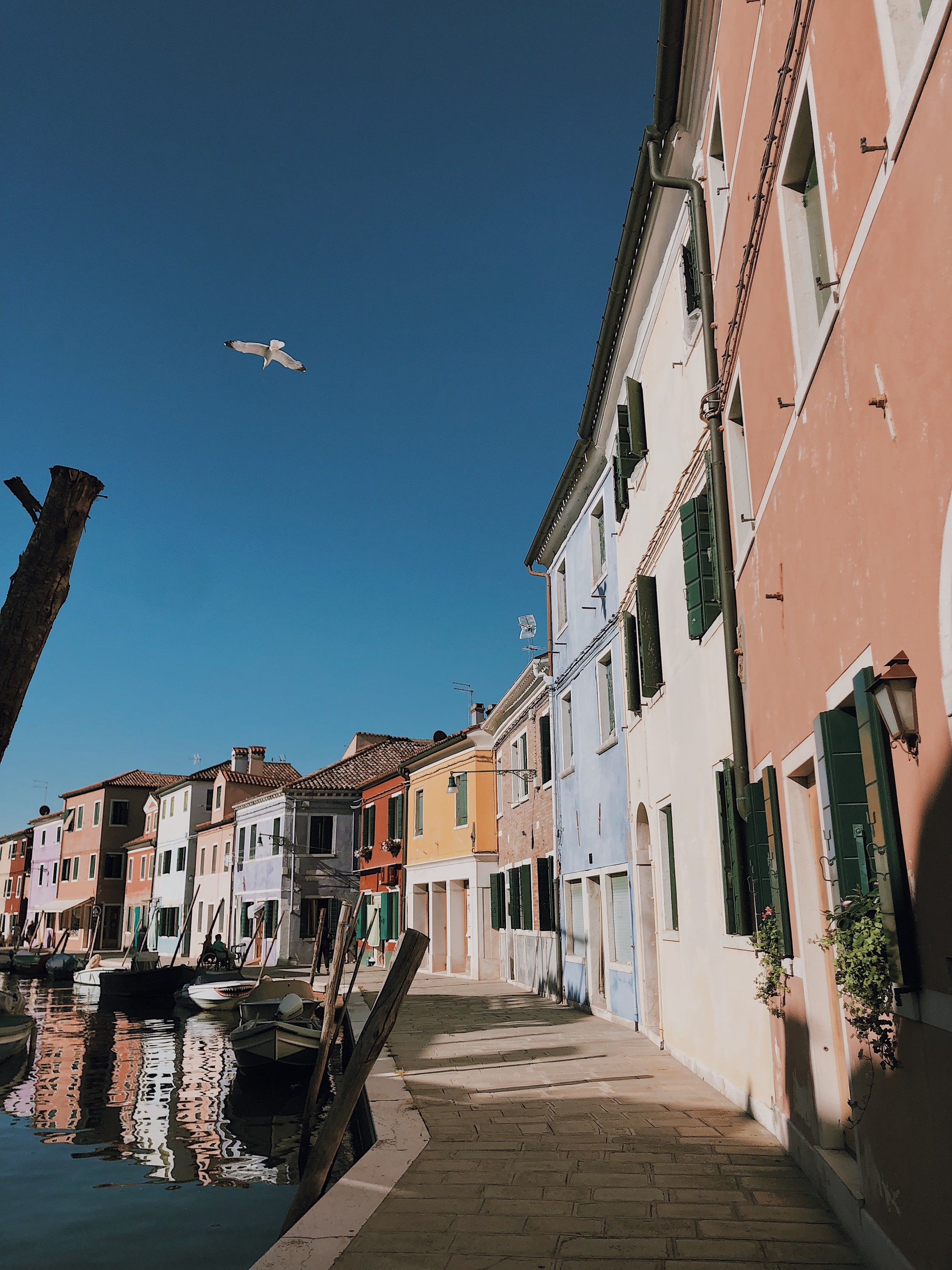 Burano và Murano - hai hòn đảo kỳ diệu phải ghé khi đến Venice - Ảnh 8.